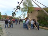 Maibaum_2016 (88).JPG